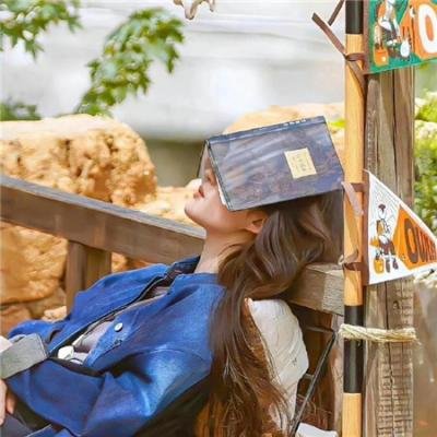 龙珠Z特别篇：绝望的反抗!! 仅存的超战士悟饭和特兰克斯